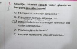 er
3. Karaciğer hücreleri aşağıda verilen görevlerden
hangisini gerçekleştiremez?
A) Fibrinojen ve protrombin sentezleme
B) Eritropoietin hormonu salgılama
Alguv Cream
Dolaşımda bulunan fazla eşeysel hormonları plaz-
madan uzaklaştırma
D) Provitamin
A sentezleme
E) Amonyak moleküllerini üreye dönüştürme
