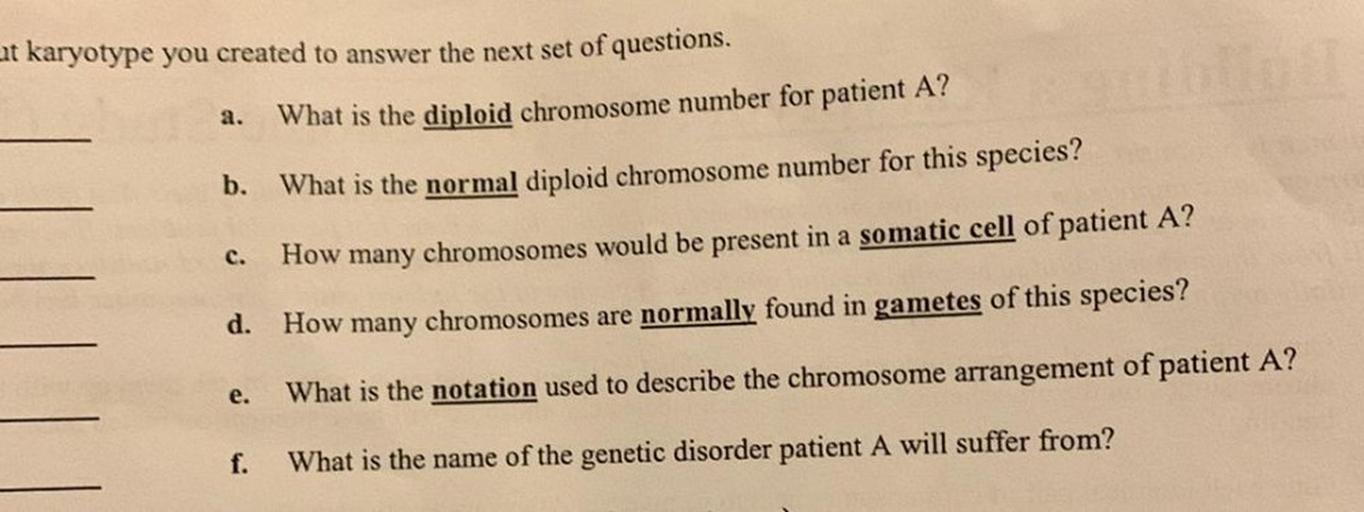 at karyotype you created to answer the next set of questions.
a.
What is the diploid chromosome number for patient A?
b.
What is the normal diploid chromosome number for this species?
c.
How many chromosomes would be present in a somatic cell of patient A?
d. How many chromosomes are normally found in gametes of this species?
e.
What is the notation used to describe the chromosome arrangement of patient A?
f.
What is the name of the genetic disorder patient A will suffer from?