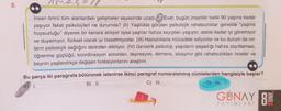 00
İnsan ömrü tüm alanlardaki gelişmeler sayesinde uzadı. (1) Evet, bugün insanlar belki 90 yaşına kadar
yaşıyor fakat psikolojileri ne durumda? (II) Yaşlılıkta görülen psikolojik rahatsızlıklar genelde “yaşlılık
huysuzluğu” diyerek bir kenara atılıyor oysa yaşlılar hafıza kayıpları yaşıyor, eskisi kadar iyi göremiyor
ve duyamıyor, fiziksel olarak iyi hissetmiyorlar. (III) Hastalıklarla mücadele ediyorlar ve bu durum da on-
ların psikolojik sağlığını derinden etkiliyor. (IV) Geriatrik psikoloji, yaşlıların yaşadığı hafıza zayıflaması,
öğrenme güçlüğü, koordinasyon sorunları, depresyon, demans, alzaymır gibi rahatsızlıkları inceler ve
beynin yaşlandıkça değişen fonksiyonlarını araştırır.
Bu parça iki paragrafa bölünmek istenirse ikinci paragraf numaralanmış cümlelerden hangisiyle başlar?
C) III.
D) IV.
I.
B) II.
3
GUNAY
82
YAYINLARI