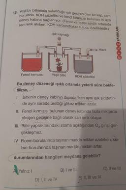 38. Yeşil bir bitkininin bulunduğu ışık geçiren cam bir kap, cam
borularla, KOH çözeltisi ve fenol kırmızısı bulunan iki ayrı
deney kabına bağlanıyor. (Fenol kırmızısı asidik ortamda
sarı renk alırken, KOH karbondioksit tutucu özelliktedir.)
Işık kaynağı
mrk 2 YAYINLARI
Hava
Fenol kirmizisi
Yeşil bitki
KOH çözeltisi
<
Bu deney düzeneği ışıklı ortamda yeterli süre bekle-
tilirse,
1. Bitkinin deney kabının dışında iken aynı ışık şiddetin-
de aynı sürede ürettiği glikoz miktarı azalır.
II. Fenol kırmızısı bulunan deney kabinda fazla miktarda
oksijen geçişine bağlı olarak sarı renk oluşur.
III. Bitki yapraklarındaki stoma açıklığından 02 girişi ger-
çekleşmez.
IV. Floem borularında taşınan madde miktarı azalırken, ksi-
lem borularında taşınan madde miktarı artar.
durumlarından hangileri meydana gelebilir?
C) II ve III
A) Yalnız
B) I ve III
D) I, II ve IV
E) II, III ve IV