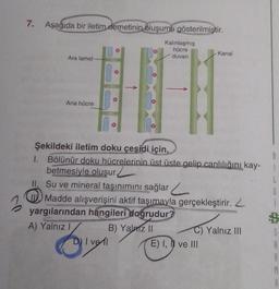 7. Aşağıda bir iletim demetinin oluşumu gösterilmiştir.
Kalınlaşmış
hücre
duvarı
Kanal
Ara lamel
Ana hücre
1
Şekildeki iletim doku çeşidi için,
1. Bölünür doku hücrelerinin üst üste gelip canlılığını kay-
betmesiyle oluşur.
II. Su ve mineral taşınımını sağlar
W. Madde alışverişini aktif taşımayla gerçekleştirir. 2
yargılarından hangileri doğrudur?
A) Yalnız
B) Yalniz II
C) Yalnız II
D) I vel
E) I ve III
3
G
1
A
R
M
