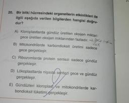 20. Bir bitki hücresindeki organellerin etkinlikleri ile
ilgili aşağıda verilen bilgilerden hangisi doğru-
dur?
A) Kloroplastlarda gündüz üretilen oksijen miktarı
gece üretilen oksijen miktarından fazladır. → goce üretim
YOK
B) Mitokondrilerde karbondioksit üretimi sadece
gece gerçekleşir.
C) Ribozomlarda protein sentezi sadece gündüz
gerçekleşir.
D) Lökoplastlarda nişasta sentezi gece ve gündüz
gerçekleşir.
E) Gündüzleri kloroplast ve mitokondrilerde kar-
bondioksit tüketimi gerçekleşir.