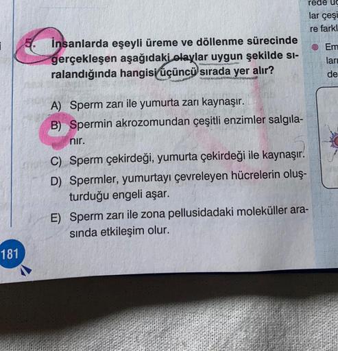 rede ug
lar çeşi
re farkl
5.
© Em
İnsanlarda eşeyli üreme ve döllenme sürecinde
gerçekleşen aşağıdaki olaylar uygun şekilde si-
ralandığında hangisi üçüncü sırada yer alır?
lar
de
A) Sperm zarı ile yumurta zari kaynaşır.
B) Spermin akrozomundan çeşitli enz