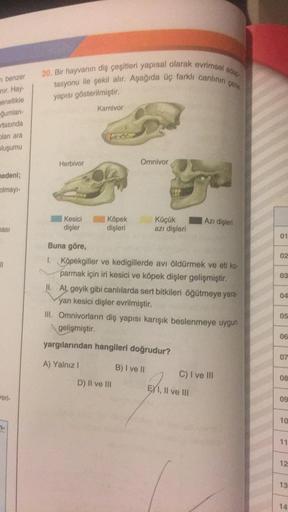 20. Bir hayvanın diş çeşitleri yapısal olarak evrimsel 80,
fasyonu ile çekil alır. Aşağıda üç farklı canlının
yapısı gösterilmiştir.
- benzer
nir. Hay
Jenellikle
ğurlan-
rtasında
blan ara
Karnivor
bluşumu
Herbivor
Omnivor
nedeni;
olmay-
Kesici
dişler
Köpek