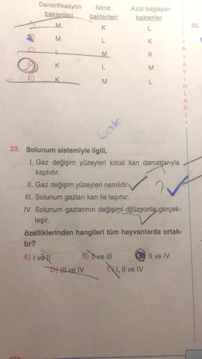 Denitrifikasyon
bakterileri
Nitrat
bakterileri
Azot bağlayan
bakteriler
L.
M
K
25.
M
L
K
A
M.
K
K
L
M
A
Y
E)
K
M
L
- Z --
N
L
A
23. Solunum sistemiyle ilgili,
1. Gaz değişim yüzeyleri kılcal kan damarlarıyla
kaplıdır.
II. Gaz değişim yüzeyleri nemlidir.
II