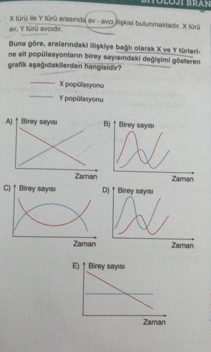 BRAN
X türü ile Y türü arasında av -avci lişkisi bulunmaktadır. X türü
av, Y türü avcıdır.
Buna göre, aralarındaki ilişkiye bağlı olarak X ve Y türleri-
ne ait popülasyonların birey sayısındaki değişimi gösteren
grafik aşağıdakilerden hangisidir?
X popülas