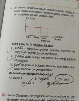 34. Bir insanın beslenme yoluyla vücuduna aldiği polimer X
besin maddesinin sindirim kanalı boyunca değişim mik-
tari aşağıdaki grafikte gösterilmiştir.
X miktarı
L
Sindirim
Ağız Mide İnce
kanali
bağırsak
Buna göre; bu X maddesi ile ilgili,
1. Sindirim kanalının grafikte belirtilen kısımlarında
kimyasal sindirimi gerçekleşmemiştir.
II. Polimer yapılı olduğu için sindirim kanalında emilimi
olmamıştı.
III. Kahn bağırsakta bulunan bakteriler tarafından kim-
yasal sindirimi gerçekleştirilebilir.
ifadelerinden hangileri doğrudur?
A) Yalnız!
B) Yalnız 111 C) I ve II
D) IWE III
E) 11 ve it
35. Kerim Öğretmen, bir çizgili kasın boyunda gözlenen de-
ğişimlerin gösterildiği asağıdaki sekli öðrencileri ile nay