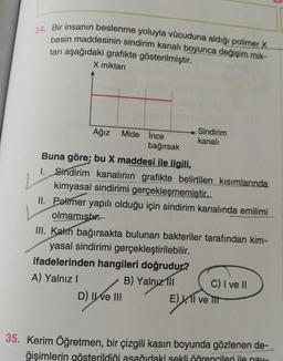 34. Bir insanın beslenme yoluyla vücuduna aldiği polimer X
besin maddesinin sindirim kanalı boyunca değişim mik-
tari aşağıdaki grafikte gösterilmiştir.
X miktarı
L
Sindirim
Ağız Mide İnce
kanali
bağırsak
Buna göre; bu X maddesi ile ilgili,
1. Sindirim kanalının grafikte belirtilen kısımlarında
kimyasal sindirimi gerçekleşmemiştir.
II. Polimer yapılı olduğu için sindirim kanalında emilimi
olmamıştı.
III. Kahn bağırsakta bulunan bakteriler tarafından kim-
yasal sindirimi gerçekleştirilebilir.
ifadelerinden hangileri doğrudur?
A) Yalnız!
B) Yalnız 111 C) I ve II
D) IWE III
E) 11 ve it
35. Kerim Öğretmen, bir çizgili kasın boyunda gözlenen de-
ğişimlerin gösterildiği asağıdaki sekli öðrencileri ile nay
