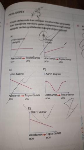 ORTA DÜZEY
decapore
KR dolgida kan keberkatan dan met
en perinde meydana gelen deferter
da verilen grafiklerden hangisi doğru get
A
Hemoglobin
derişim
g)
Oksi
milan
Atardamar Toplardamar
Atardamar Toplardamar
ucu
UCU
UU
UCU
C)
Kan basinci
D)
Akanın akış hi