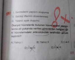 Sentriollerin yapısını oluşturma
II. Selüloz liflerinin düzenlenmesi
II. Yalancı ayak oluşumu
Ökaryot hücrelerde bulunan hücre iskeleti eleman-
larına ait yukarıda verilen görevlerden hangileri bit-
ki hücrelerindeki mikrotübüller tarafından gerçek-
leştirilir?
7
6.
A) Yalnız!
B) Yalnız 11
C) I ve
Dinghi
E) II ve III
115
