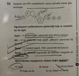 52. Aşağıda, bir ATP molekülünün yapısı şematik olarak gös-
terilmiştir.
X
Adens
A glibat
este
zzz
Öğretmenin harflendirerek gösterdiği bağ ve molekül-
ler ile ilgili,
Ayşe - X molekülünün yapısında azot atomu bulunur.
Ali K ile gösterilen bağ çeşidi, glikozun yapısında da
bulunur.
Serpil -Y molekül çeşidi, DNA yapısında da bulunur.
Serap - Z nükleotīt yapısında da bulunan inorganik bir
maddedir.
FEN BİLİMLERİ YAYINLARI
-
öğrencilerden hangilerinin ifadesi doğru değildir?
A) Ayse
D) Ayşe ve Ali
B) Serpil Q) Ali ve Serpil
E) Ali, Serpil ve Serap