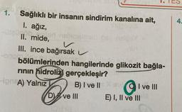 4
1. Sağlıklı bir insanın sindirim kanalına ait,
1. ağız,
DI mida nebiosis
II. mide,
III. ince bağırsak v
-Onor.....
bölümlerinden hangilerinde glikozit bağla-
rinin hidrolizi gerçekleşir?
- A) Yalnız B) I ve II
I ve III
De III
E) I, II ve III
