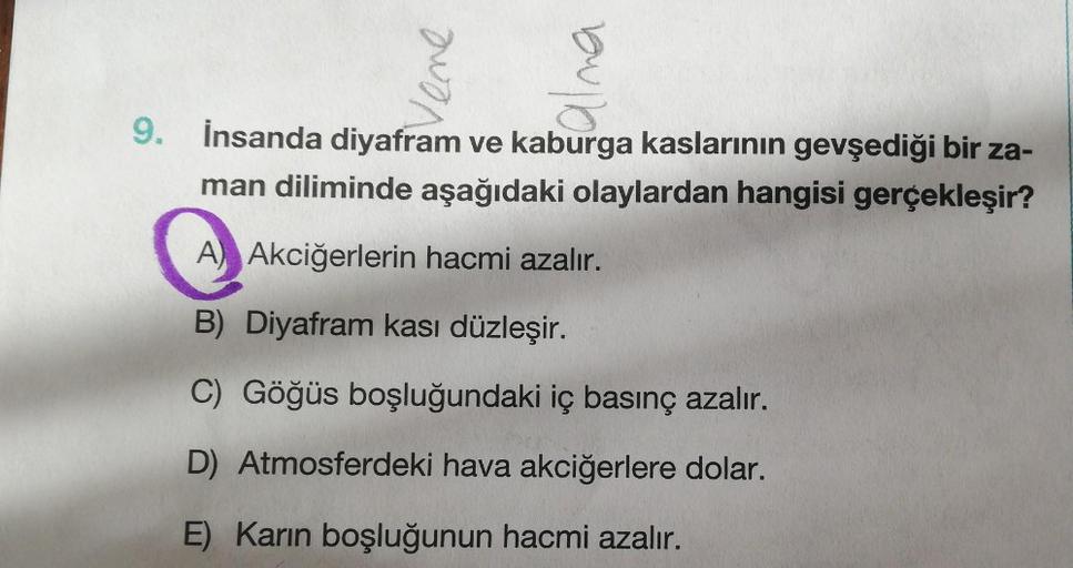 Vene
alna
9.
İnsanda diyafram ve kaburga kaslarının gevşediği bir za-
man diliminde aşağıdaki olaylardan hangisi gerçekleşir?
A) Akciğerlerin hacmi azalır.
B) Diyafram kası düzleşir.
C) Göğüs boşluğundaki iç basınç azalır.
D) Atmosferdeki hava akciğerlere 