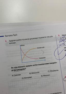 8.
Hücre
Kavrama Testi
tore
1.D
6. Aşağıdaki grafikte hücrelerde gerçekleşen hayatsal bir olay gös-
terilmiştir.
AMiktar
Bolovina
Nükleik asit
nic
ha
Nükleotid
Bu olay hücrenin aşağıda verilen kısımlarından hangisin-
de gerçekleşmez?
ou
C) Sitoplazma
B) Mitokondri
A) Çekirdek
E) Ribozom
D) Kloroplast
sentezlenen
