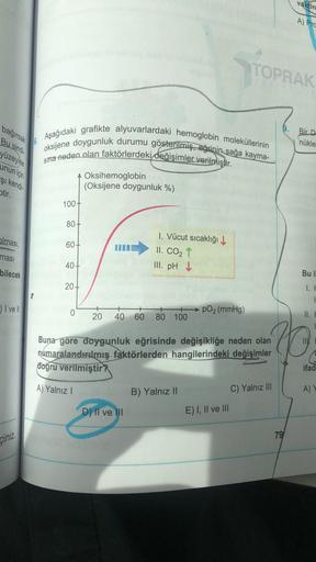 vaktin
A) Pro
TOPRAK
bağırsak
Bu sindi
Bir D
nükle
yüzeyine
unun için
oksijene doygunluk durumu gösterilmiş, eğrinin sağa kayma-
Aşağıdaki grafikte alyuvarlardaki hemoglobin moleküllerinin
sina neden olan faktörlerdeki değişimler verilmiştir.
Oksihemoglobi