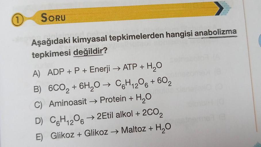 1
SORU
Aşağıdaki kimyasal tepkimelerden hangisi anabolizma
tepkimesi değildir?
+
A) ADP + P + Enerji → ATP + H2O
B) 6CO2 + 6H2O → CH12O6 + 602
C) Aminoasit → Protein + H2O
C
D) CH1206 —2Etil alkol + 2002
E) Glikoz + Glikoz → Maltoz + H2O