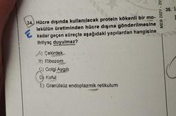 36. I
MEB 2021 - 20.
34.) Hücre dışında kullanılacak protein kökenli bir mo-
lekülün üretiminden hücre dışına gönderilmesine
kadar geçen süreçte aşağıdaki yapılardan hangisine
ihtiyaç duyulmaz?
A Çekirdek
B) Ribozom
C) Golgi Aygıt:
Koful
E) Granülsüz endoplazmik retikulum
