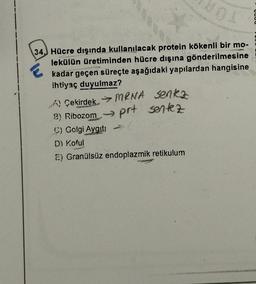 1
34.) Hücre dışında kullanılacak protein kökenli bir mo-
lekülün üretiminden hücre dışına gönderilmesine
kadar geçen süreçte aşağıdaki yapılardan hangisine
ihtiyaç duyulmaz?
A Çekirdek MRNA senka
B) Ribozom - prt sentez
→
C) Golgi Aygıt:
D) Koful
E) Granülsüz endoplazmik retikulum
