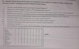 N) Aşağıdaki tabloda karışık olarak verilen soru numaraları ile bu sorulara ait cevapların kesiştiği yerdeki harfleri
belirleyip bu harfleri belirleyip bu harfleri kullanarak şifreyi bulunuz.
I.
II.
III.
IV.
V.
Hücrede protein sentezi olayını gerçekleştiren organel hangisidir?.
Ökaryot hücrelerde oksijen varlığında ATP sentezlenen yapı hangisidir?..
Üzerinde ribozom bulunan ve hücreye çekirdek zarından hücre zarına kadar kaplayan kanallar sistemi hangisidir?
Bitkilerde genç dallarda ve yapraklarda bulunan ve fotosentezin gerçekleştiği plastit hangisidir?..
Tüm ökaryot hücrelerin sitoplazmasında bulunan ve ince filament olan hücre iskeleti elemanı hangisidir?
Hücrede maddeleri ayırma ve paketleme görevi yapan organel hangisidir?...
Fagositoz ile hücre içine alınan besinlerin sindirimini sağlayan organel hangisidir?..
Hayvan hücrelerinde içersinde salgı maddelerini depolayan organel hangisidir?..
Hücrenin sivi kısımdır?.
Hücre bölünmesi sırasında sayısı artan ve kromozomları kutuplara çeken hücre iskeleti elemanı hangisidir?..
VI.
VII.
VIII.
IX.
X
1
2
7
10
U
1
A
9
M
D
S
M
H
OL
G
R
T
ŞİFRE:..
J
Y
0
A
T
K
Sitozol
Ribozom
Granüllü ER
Golgi cisimciği
Lizozorn
Mitokondri
Kloroplast
Koful
Mikrofilament
Mikrotubul
R
OYO WC)
| 0 - 1 x > 0 0 2 1
--- ZO.
EON I
SO E
A
-- OC SN7077 - 3
S
À m N 2 6 2 4 6 3 0 0
B
CE
N
S
- DOC <- Ovo
Z
A
G
K
T
M
N
P
A
V
K
T
J
F
1
D
N
E
Y
T K
TA
A
>