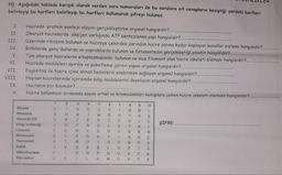 N) Aşağıdaki tabloda karışık olarak verilen soru numaraları ile bu sorulara ait cevapların kesiştiği yerdeki harfleri
belirleyip bu harfleri belirleyip bu harfleri kullanarak şifreyi bulunuz.
I.
II.
III.
IV.
V.
Hücrede protein sentezi olayını gerçekleştiren organel hangisidir?.
Ökaryot hücrelerde oksijen varlığında ATP sentezlenen yapı hangisidir?..
Üzerinde ribozom bulunan ve hücreye çekirdek zarından hücre zarına kadar kaplayan kanallar sistemi hangisidir?
Bitkilerde genç dallarda ve yapraklarda bulunan ve fotosentezin gerçekleştiği plastit hangisidir?..
Tüm ökaryot hücrelerin sitoplazmasında bulunan ve ince filament olan hücre iskeleti elemanı hangisidir?
Hücrede maddeleri ayırma ve paketleme görevi yapan organel hangisidir?...
Fagositoz ile hücre içine alınan besinlerin sindirimini sağlayan organel hangisidir?..
Hayvan hücrelerinde içersinde salgı maddelerini depolayan organel hangisidir?..
Hücrenin sivi kısımdır?.
Hücre bölünmesi sırasında sayısı artan ve kromozomları kutuplara çeken hücre iskeleti elemanı hangisidir?..
VI.
VII.
VIII.
IX.
X
1
2
7
10
U
1
A
9
M
D
S
M
H
OL
G
R
T
ŞİFRE:..
J
Y
0
A
T
K
Sitozol
Ribozom
Granüllü ER
Golgi cisimciği
Lizozorn
Mitokondri
Kloroplast
Koful
Mikrofilament
Mikrotubul
R
OYO WC)
| 0 - 1 x > 0 0 2 1
--- ZO.
EON I
SO E
A
-- OC SN7077 - 3
S
À m N 2 6 2 4 6 3 0 0
B
CE
N
S
- DOC <- Ovo
Z
A
G
K
T
M
N
P
A
V
K
T
J
F
1
D
N
E
Y
T K
TA
A
>
