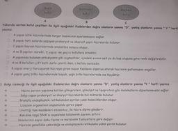 Q
Besin
koful
Kontraktil
koful
Merkezi
koful
A
B
C
Yukarıda verilen koful çeşitleri ile ilgili aşağıdaki ifadelerden doğru olanların yanına "D", yanlış olanların yanına " y " harfi
yazınız.
A yapısı bitki hücrelerinde turgor basıncının ayarlanmasını sağlar.
B yapısı tatlı sularda yaşayan prokaryot ve ökaryot yapılı hücrelerde bulunur.
C yapısı hayvan hücrelerinde endositoz sonucu olusur.
A ve B yapıları sürekli, C yapısı ise geçici kofullara örnektir.
A yapısında bulunan antosiyanin gibi pigmentler, içindeki sıvının asit ya da baz oluşuna göre renk değiştirebilir.
A ve B kofulları çift katlı zarla çevriliiken, c kofulu zarsızdır.
B yapısı enerji harcayarak hücreye giren suyun fazlasını dışarıya atarak hücrenin patlamasını engeller.
A yapısı genç bitki hücrelerinde büyük, yaşlı bitki hücrelerinde ise küçüktür.
) Golgi cisimciği ile ilgili aşağıdaki ifadelerden doğru olanların yanına "D", yanlış olanların yanına "Y" harfi yazınız.
........ Hücre zarının yapısına katılan glikoprotein, glikolipit ve lipoprotein gibi moleküllerin düzenlenmesini sağlar.
Salgı yapan prokaryot ve ökaryot hücrelerde bol miktarda bulunur.
Granüllü endoplazmik retikulumdan ayrılan yassı keseciklerden oluşur.
Lizozom organelinin oluşumunda görev yapar.
Ürettiği tüm maddeleri ekzositoz_ile hücre dışına gönderir.
.Kan.dine özgü DNA'sı sayesinde bölünerek sayısını artırır.
Keselerinin sayısı doku tipine ve metabolik faaliyetlere göre değişir.
Hücrede genellikle çekirdeğe ve endoplazmik retikuluma yakın yerde bulunur.