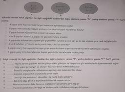 Q
Besin
koful
Kontraktil
koful
Merkezi
koful
A
B
C
Yukarıda verilen koful çeşitleri ile ilgili aşağıdaki ifadelerden doğru olanların yanına "D", yanlış olanların yanına " y " harfi
yazınız.
A yapısı bitki hücrelerinde turgor basıncının ayarlanmasını sağlar.
B yapısı tatlı sularda yaşayan prokaryot ve ökaryot yapılı hücrelerde bulunur.
C yapısı hayvan hücrelerinde endositoz sonucu olusur.
A ve B yapıları sürekli, C yapısı ise geçici kofullara örnektir.
A yapısında bulunan antosiyanin gibi pigmentler, içindeki sıvının asit ya da baz oluşuna göre renk değiştirebilir.
A ve B kofulları çift katlı zarla çevriliiken, c kofulu zarsızdır.
B yapısı enerji harcayarak hücreye giren suyun fazlasını dışarıya atarak hücrenin patlamasını engeller.
A yapısı genç bitki hücrelerinde büyük, yaşlı bitki hücrelerinde ise küçüktür.
) Golgi cisimciği ile ilgili aşağıdaki ifadelerden doğru olanların yanına "D", yanlış olanların yanına "Y" harfi yazınız.
........ Hücre zarının yapısına katılan glikoprotein, glikolipit ve lipoprotein gibi moleküllerin düzenlenmesini sağlar.
Salgı yapan prokaryot ve ökaryot hücrelerde bol miktarda bulunur.
Granüllü endoplazmik retikulumdan ayrılan yassı keseciklerden oluşur.
Lizozom organelinin oluşumunda görev yapar.
Ürettiği tüm maddeleri ekzositoz_ile hücre dışına gönderir.
.Kan.dine özgü DNA'sı sayesinde bölünerek sayısını artırır.
Keselerinin sayısı doku tipine ve metabolik faaliyetlere göre değişir.
Hücrede genellikle çekirdeğe ve endoplazmik retikuluma yakın yerde bulunur.
