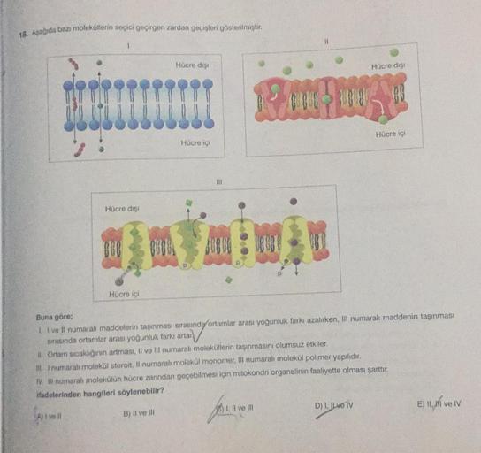 18. Aşağıda bazı moleküllerin seçici geçirgen zarda… Biyoloji 18. Aşağıda bazı moleküllerin seçici geçirgen zarda… Biyoloji