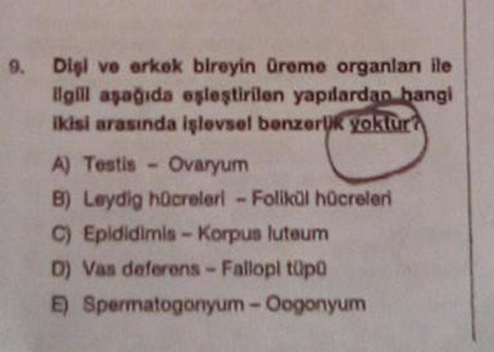 9. Diel ve erkek bireyin Üromo organlan ile
Ugill asagida ogleştirilen yapılardan hangi
ikisi arasında işlevsel benzerlik yoklur?
A) Testis - Ovaryum
B) Leydig hücreleri - Folikül hücreleri
C) Epididimis-Korpus luteum
D) Vas deferens - Fallopi tupo
Spermat