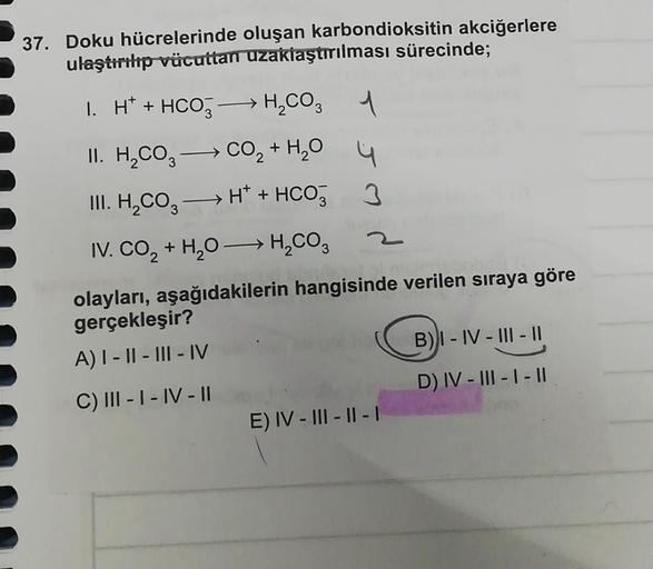 37. Doku hücrelerinde oluşan karbondioksitin akciğerlere
ulaştirih väcuttan uzaklaştırılması sürecinde;
I. H + HCO + HCO
4
+ H₂O 4
II. HC0g - CO2 + H2O
III. H_C02 -> H+ + HCO3
3
IV. CO, + H20-HCO3
+
2
olayları, aşağıdakilerin hangisinde verilen sıraya göre