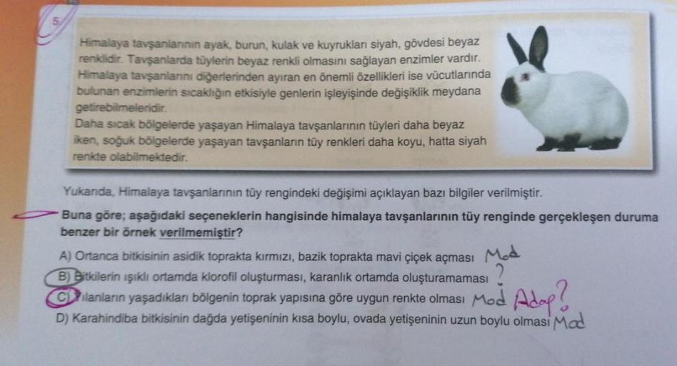 Himalaya tavşanlarının ayak, burun, kulak ve kuyrukları siyah, gövdesi beyaz
renklidir
. Tavşanlarda tüylerin beyaz renkli olmasını sağlayan enzimler vardır.
Himalaya tavşanlanını diğerlerinden ayıran en önemli özellikleri ise vücutlarında
bulunan enzimler