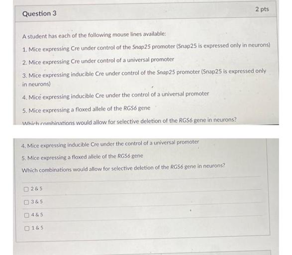2 pts
Question 3
A student has each of the following mouse lines available:
1. Mice expressing Cre under control of the Snap 25 promoter (Snap25 is expressed only in neurons)
2. Mice expressing Cre under control of a universal promoter
a
3. Mice expressing inducible Cre under control of the Snap 25 promoter (Snap25 is expressed only
in neurons)
4. Micé expressing inducible Cre under the control of a universal promoter
5. Mice expressing a floxed allele of the RGS6 gene
Which combinations would allow for selective deletion of the RGS6 gene in neurons?
4. Mice expressing inducible Cre under the control of a universal promoter
5. Mice expressing a floxed allele of the RGS6 gene
Which combinations would allow for selective deletion of the RGS6 gene in neurons?
2&5
3&5
4&5
O 1&5