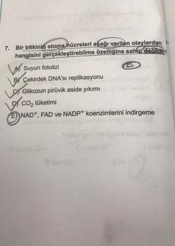 7. Bir bitkinin stoma hücreleri aşağı verilen olaylardan.
hangisini gerçekleştirebilme özelliğine sahip degildir
A Suyun fotolizi
By Çekirdek DNA'sı replikasyonu
Glikozun pirüvik aside yıkımı
Dj CO2 tüketimi
É) NAD+, FAD ve NADP+ koenzimlerini indirgeme
Lord