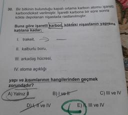 30. Bir bitkinin bulunduğu kapalı ortama karbon atomu işaretli
karbondioksit verilmiştir. İşaretli karbona bir süre sonra
kökte depolanan nişastada rastlanılmıştır.
Buna göre işaretli karbon, kökteki nişastanın yapısına
katılana kadar;
1. trakeit,
II. kalburlu boru,
III. arkadaş hücresi,
IV. stoma açıklığı
yapı ve kısımlarının hangilerinden geçmek
zorundadır?
A) Yalnız
B) I ve It
C) III ve IV
D., Il ve IV
E) I, III ve IV