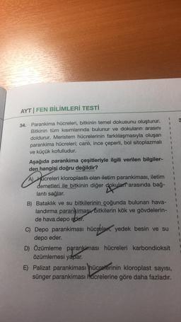 AYT | FEN BİLİMLERİ TESTİ
1
34. Parankima hücreleri, bitkinin temel dokusunu oluşturur.
Bitkinin tüm kısımlarında bulunur ve dokuların arasını
doldurur. Meristem hücrelerinin farklılaşmasıyla oluşan
parankima hücreleri; canlı, ince çeperli, bol sitoplazmalı
ve küçük kofulludur.
Aşağıda parankima çeşitleriyle ilgili verilen bilgiler-
den hangisi doğru değildir?
1
1
1
3
A) Hucreleri kloroplastlı olan iletim parankiması, iletim
demetleri ile bitkinin diğer dokular arasında bağ-
lantı sağlar.
B) Bataklık ve su bitkilerinin çoğunda bulunan hava-
landırma parankiması bitkilerin kök ve gövdelerin-
de hava depo eder.
C) Depo parankiması hücreleri, yedek besin ve su
depo eder.
D) Özümleme parankiması hücreleri karbondioksit
özümlemesi yapar.
E) Palizat parankimasi hücrelerinin kloroplast sayısı,
sünger parankimasi lucrelerine göre daha fazladır.
