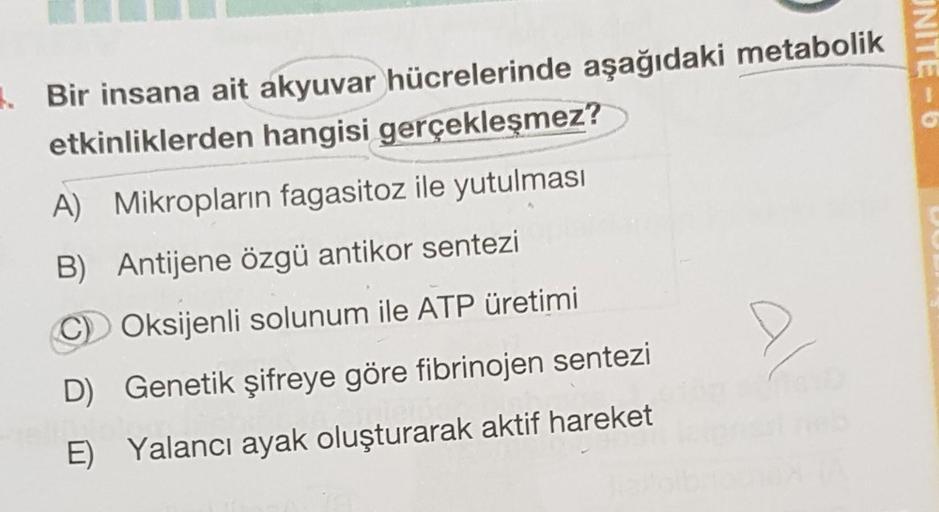 INITE - 6
Bir insana ait akyuvar hücrelerinde aşağıdaki metabolik
etkinliklerden hangisi gerçekleşmez?
A) Mikropların fagasitoz ile yutulması
B) Antijene özgü antikor sentezi
Oksijenli solunum ile ATP üretimi
D) Genetik şifreye göre fibrinojen sentezi
E) Y