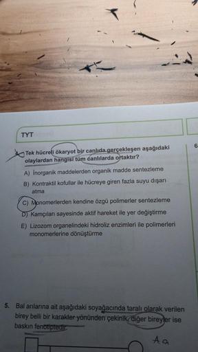 TYT
6
Tek hücreli ökaryot bir canlıda gerçekleşen aşağıdaki
olaylardan hangisi tüm canlılarda ortaktır?
A) Inorganik maddelerden organik madde sentezleme
B) Kontraktil kofullar ile hücreye giren fazla suyu dışarı
atma
C) Monomerlerden kendine özgü polimerl