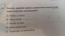 Uzvyu
4.
İnsanda, aşağıdaki sindirim enzimlerinden hangisi iki farklı
organ tarafından sentezlenebilir?
A) Maltaz ve laktaz
inc
n
B) Yalnız amilaz
C) Amilaz ve lipaz
D) Yalnız pepsinojen
E) Tripsinojen ve enterokinaz
