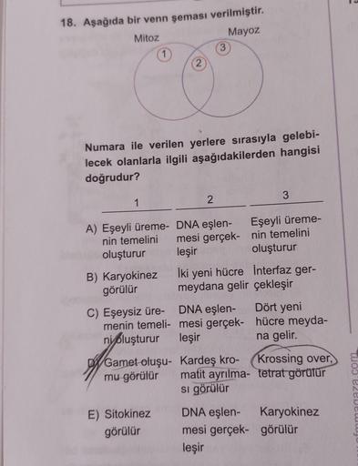 18. Aşağıda bir venn şeması verilmiştir.
Mitoz
Mayoz
3
2
1
Numara ile verilen yerlere sırasıyla gelebi-
lecek olanlarla ilgili aşağıdakilerden hangisi
doğrudur?
3
1
2
A) Eşeyli üreme- DNA eşlen- Eşeyli üreme-
nin temelini mesi gerçek- nin temelini
oluşturu