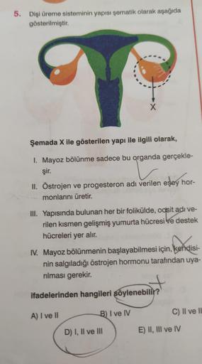 5. Dişi üreme sisteminin yapısı şematik olarak aşağıda
gösterilmiştir.
X
Şemada X ile gösterilen yapı ile ilgili olarak,
1. Mayoz bölünme sadece bu organda gerçekle-
şir.
II. Östrojen ve progesteron adı verilen esey hor-
monlarını üretir.
III. Yapısında bu