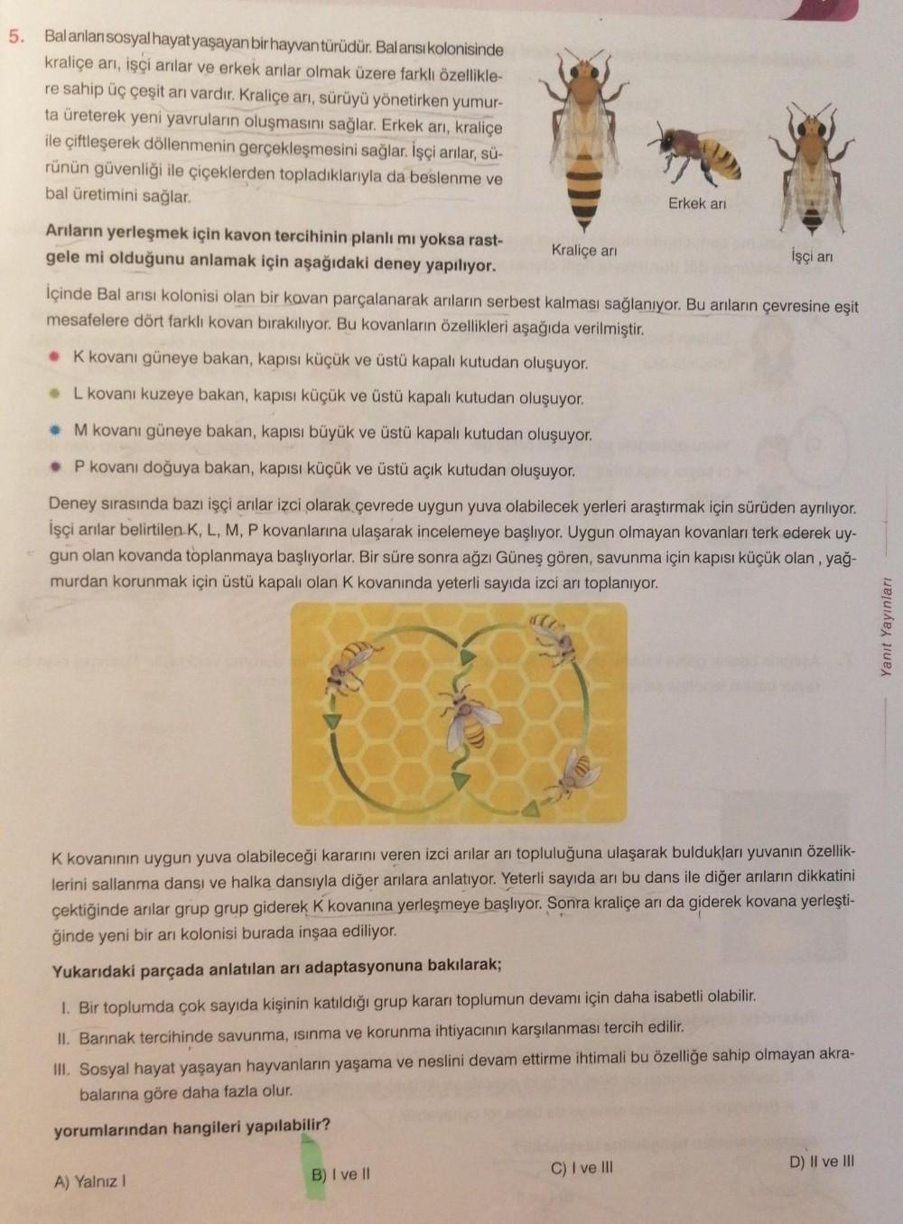 5. Balanları sosyal hayat yaşayan bir hayvan türüdür. Balansi kolonisinde
kraliçe arı, işçi arılar ve erkek arılar olmak üzere farklı özellikle-
re sahip üç çeşit anı vardır. Kraliçe ani, sürüyü yönetirken yumur-
ta üreterek yeni yavruların oluşmasını sağl
