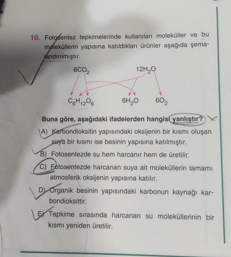 10. Fotosentez tepkimelerinde kullanılan moleküller ve bu
moleküllerin yapısına katıldıkları ürünler aşağıda şema-
Jandırılmıştır.
6CO2
12H20
C6H1206
6H20
602
Buna göre, aşağıdaki ifadelerden hangisi yanlıştır?
A) Karbondioksitin yapısındaki oksijenin bir 