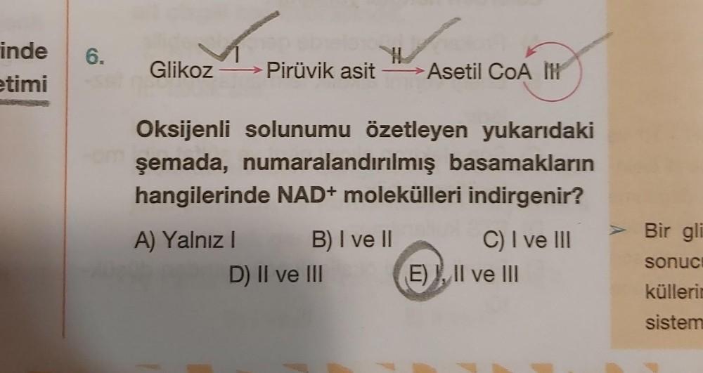 6 Inde Etimi Glikoz Pir vik Asit Asetil COA IH Oksi Biyoloji