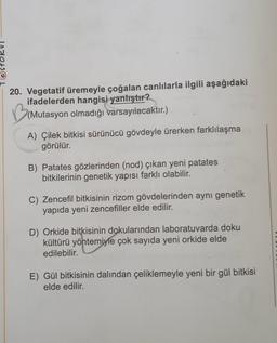 20. Vegetatif üremeyle çoğalan canlılarla ilgili aşağıdaki
ifadelerden hangisi yanlıştır?
BiMutasyon olmadığı varsayılacaktır.)
A) Çilek bitkisi sürünücü gövdeyle ürerken farklılaşma
görülür.
B) Patates gözlerinden (nod) çıkan yeni patates
bitkilerinin genetik yapısı farklı olabilir.
C) Zencefil bitkisinin rizom gövdelerinden aynı genetik
yapıda yeni zencefiller elde edilir.
D) Orkide bitkisinin dokularından laboratuvarda doku
kültürü yöntemiyle çok sayıda yeni orkide elde
edilebilir.
E) Gül bitkisinin dalından çeliklemeyle yeni bir gül bitkisi
elde edilir.
