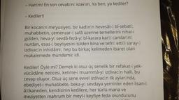 - Hanım! En son cevabını isterim. Ya ben, ya kediler?
- Kediler!!
Bir kocanın me'yusiyeti, bir kadının hevesât-o bî-sebati,
muhabbetin, çemenzar-l safâ üzerine temellerini nihal-i
gülden, heva-yi sevdâ-fezâ-yi bî-karara karll camlarını
nurdan, esas-i beytiyesini tülden bina ve tefril ettili saray-1
izdivacın inhidâmı, hep bu birkaç kelimeden ibaret olan
mükalemede mündemic idi.
Kediler! Öyle mi? Demek ki otuz üç senelik bir refakat-i yek-
vücûdâne neticesi, kelime-i muammâ-yi izdivacin halli, bu
cevap oluyor. Otuz üç sene evvel izdivacın ilk aylarında,
ebediyet-i muhabbete, beka-yi sevdaya yeminler eden lisan-
âlikaneden, kendisinin kedilere, her türlü mana ve
meziyetten mahrum bir meyl-i keyfiye feda olundulunu