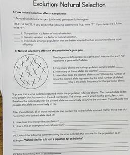 Evolution: Natural Selection
1. How natural selection affects a population
1. Natural selections acts upon (circle one) genotypes I phenotypes.
TRUE OR FALSE. If you believe the following statement is True, write "T". If you believe it is False,
write "F".