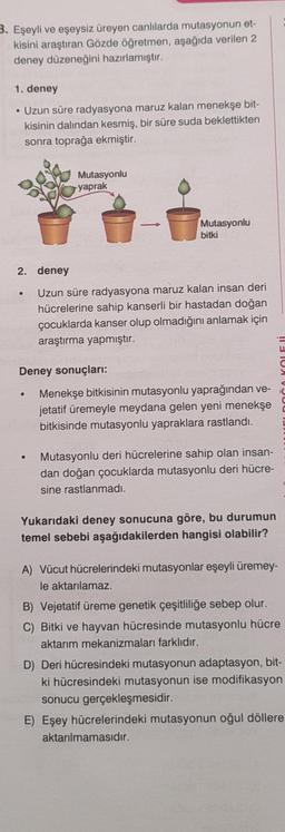 3. Eşeyli ve eşeysiz üreyen canlılarda mutasyonun et-
kisini araştıran Gözde öğretmen, aşağıda verilen 2
deney düzeneğini hazırlamıştır.
1. deney
• Uzun süre radyasyona maruz kalan menekşe bit-
kisinin dalından kesmiş, bir süre suda beklettikten
sonra toprağa ekmiştir.
Mutasyonlu
yaprak
Mutasyonlu
bitki
2. deney
Uzun süre radyasyona maruz kalan insan deri
hücrelerine sahip kanserli bir hastadan doğan
çocuklarda kanser olup olmadığını anlamak için
araştırma yapmıştır.
Deney sonuçları:
Menekşe bitkisinin mutasyonlu yaprağından ve-
jetatif üremeyle meydana gelen yeni menekşe
bitkisinde mutasyonlu yapraklara rastlandı.
Mutasyonlu deri hücrelerine sahip olan insan-
dan doğan çocuklarda mutasyonlu deri hücre-
sine rastlanmadı.
Yukarıdaki deney sonucuna göre, bu durumun
temel sebebi aşağıdakilerden hangisi olabilir?
A) Vücut hücrelerindeki mutasyonlar eşeyli üremey-
le aktarılamaz.
B) Vejetatif üreme genetik çeşitliliğe sebep olur.
C) Bitki ve hayvan hücresinde mutasyonlu hücre
aktarım mekanizmaları farklıdır.
D) Deri hücresindeki mutasyonun adaptasyon, bit-
ki hücresindeki mutasyonun ise modifikasyon
sonucu gerçekleşmesidir.
E) Eşey hücrelerindeki mutasyonun oğul döllere
aktarılmamasıdır.