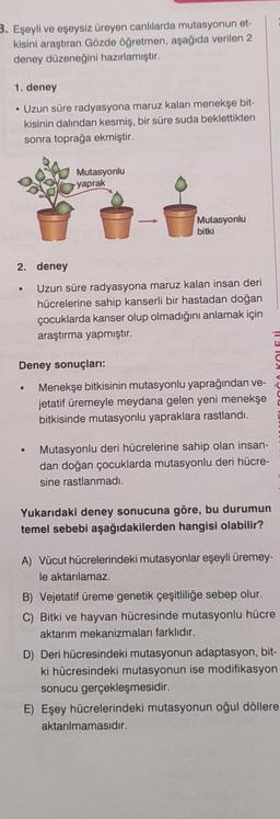 3. Eşeyli ve eşeysiz üreyen canlılarda mutasyonun et-
kisini araştıran Gözde öğretmen, aşağıda verilen 2
deney düzeneğini hazırlamıştır.
1. deney
• Uzun süre radyasyona maruz kalan menekşe bit-
kisinin dalından kesmiş, bir süre suda beklettikten
sonra toprağa ekmiştir.
Mutasyonlu
yaprak
Mutasyonlu
bitki
2. deney
Uzun süre radyasyona maruz kalan insan deri
hücrelerine sahip kanserli bir hastadan doğan
çocuklarda kanser olup olmadığını anlamak için
araştırma yapmıştır.
Deney sonuçları:
Menekşe bitkisinin mutasyonlu yaprağından ve-
jetatif üremeyle meydana gelen yeni menekşe
bitkisinde mutasyonlu yapraklara rastlandı.
Mutasyonlu deri hücrelerine sahip olan insan-
dan doğan çocuklarda mutasyonlu deri hücre-
sine rastlanmadı.
Yukarıdaki deney sonucuna göre, bu durumun
temel sebebi aşağıdakilerden hangisi olabilir?
A) Vücut hücrelerindeki mutasyonlar eşeyli üremey-
le aktarılamaz.
B) Vejetatif üreme genetik çeşitliliğe sebep olur.
C) Bitki ve hayvan hücresinde mutasyonlu hücre
aktarım mekanizmaları farklıdır.
D) Deri hücresindeki mutasyonun adaptasyon, bit-
ki hücresindeki mutasyonun ise modifikasyon
sonucu gerçekleşmesidir.
E) Eşey hücrelerindeki mutasyonun oğul döllere
aktarılmamasıdır.
