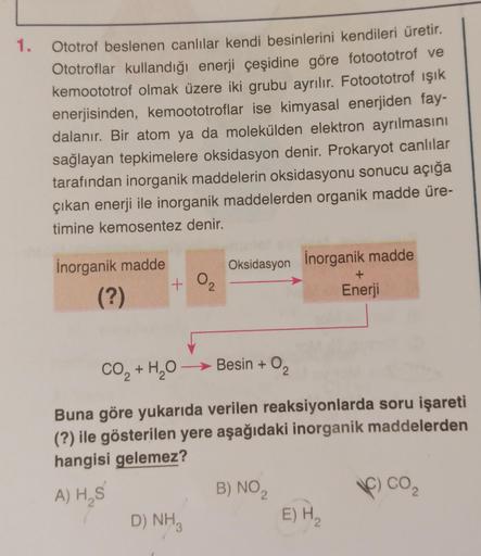 1.
Ototrof beslenen canlılar kendi besinlerini kendileri üretir.
Ototroflar kullandığı enerji çeşidine göre fotoototrof ve
kemoototrof olmak üzere iki grubu ayrılır. Fotoototrof ışık
enerjisinden, kemoototroflar ise kimyasal enerjiden fay-
dalanır. Bir ato