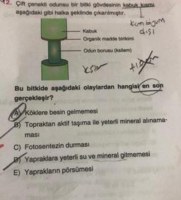 Çift çenekli odunsu bir bitki gövdesinin kabuk kısmı
aşağıdaki gibi halka şeklinde çıkarılmıştır.
kun bijum
disi
Kabuk
Organik madde birikimi
Odun borusu (ksilem)
ksil
Alden
Bu bitkide aşağıdaki olaylardan hangisi en son
gerçekleşir?
A Köklere besin gelmemesi
B) Topraktan aktif taşıma ile yeterli mineral alınama-
masi
C) Fotosentezin durması
D Yapraklara yeterli su ve mineral gitmemesi
E) Yaprakların pörsümesi