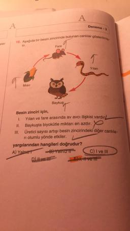 A
A
Deneme - 3
eler
18. Aşağıda bir besin zincirinde bulunan canlılar gösterilmiş-
Fare
tir.
q
Yılan
Misir
Baykuş
P
Besin zinciri için,
I. Yılan ve fare arasında av avcı ilişkisi vardır
II.
Baykuşta biyokütle miktarı en azdır.
III. Üretici sayısı artışı besin zincirindeki diğer canlıla-
ri olumlu yönde etkiler.
yargılarından hangileri doğrudur?
A) Yalpizt B) Yalniz
C) I ve III
D) Il ve I
E) , Heve